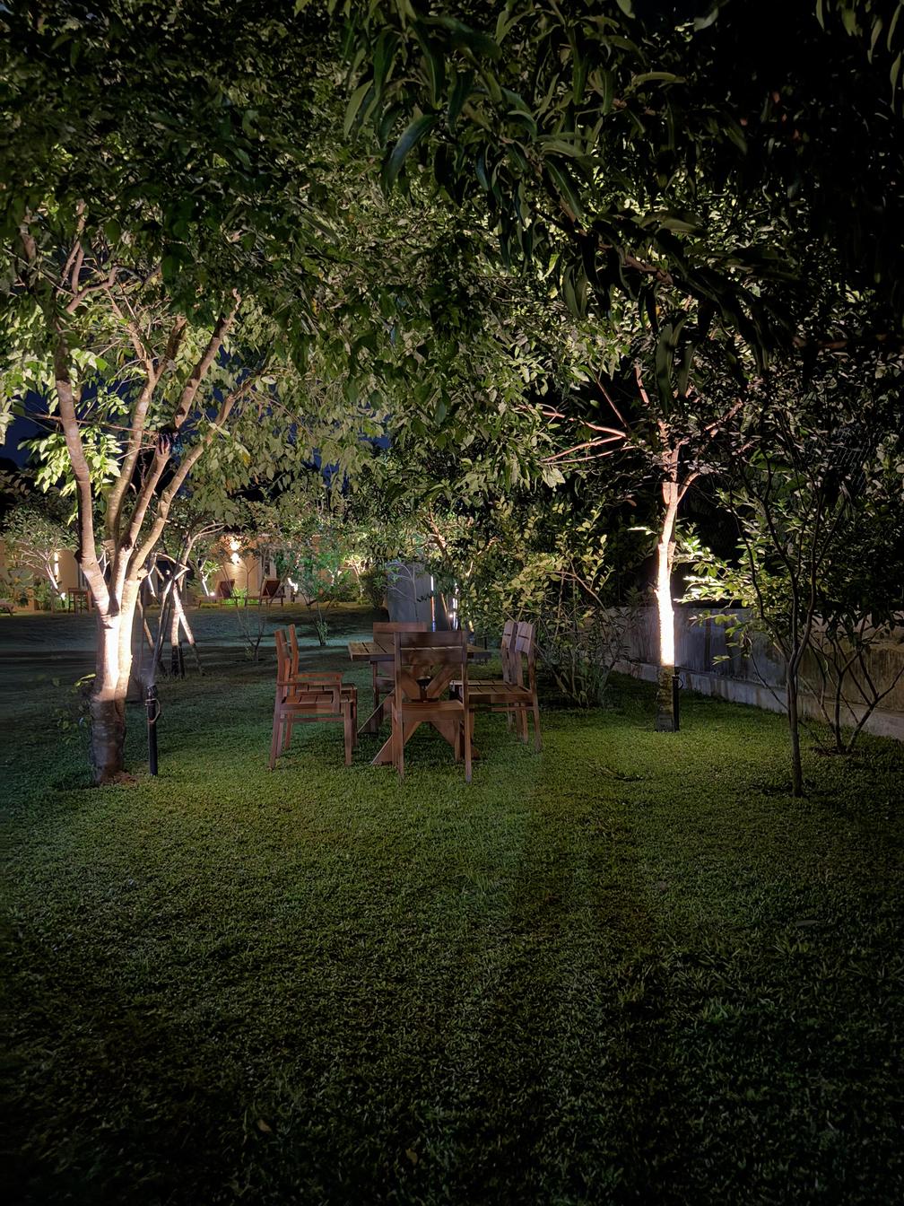 garden 2